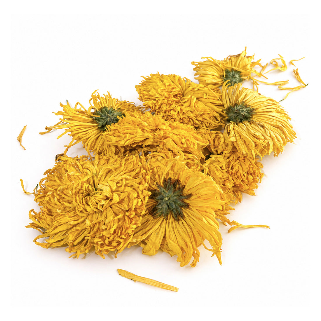 Golden Chrysanthemum