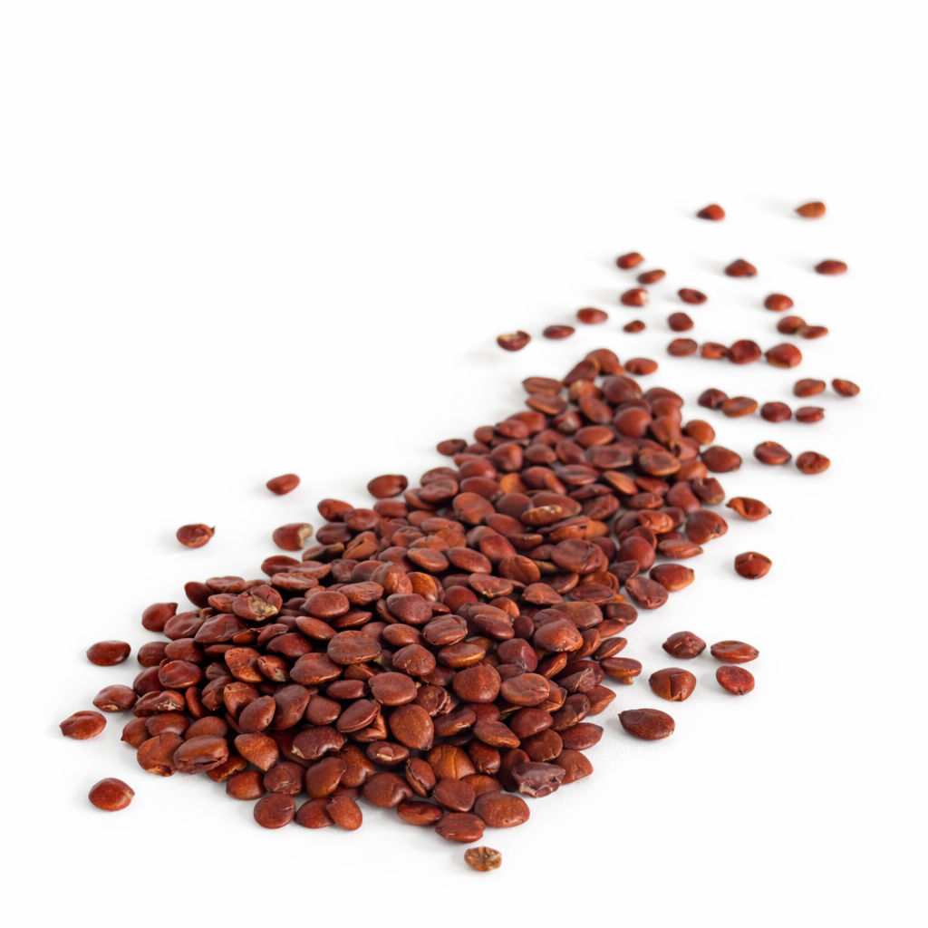 Sour Jujube Seed
