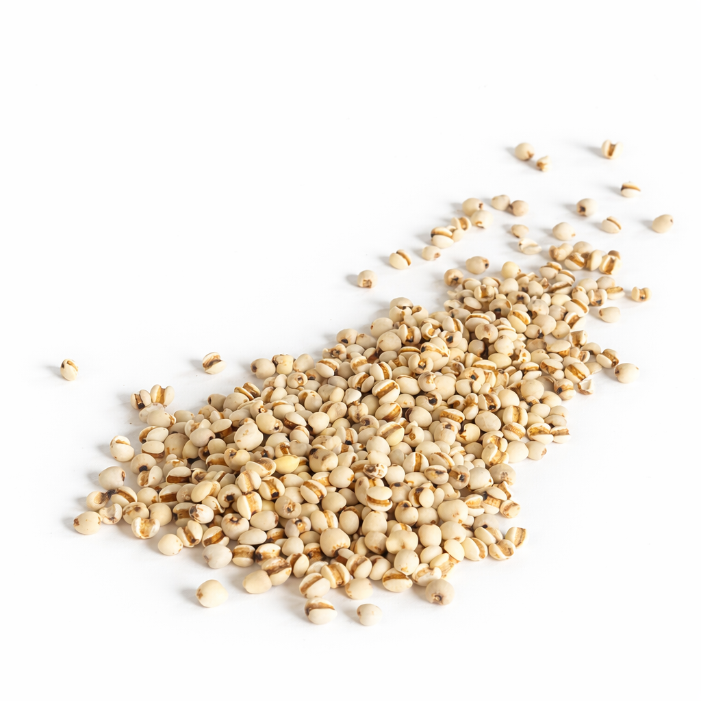 Coix Seed